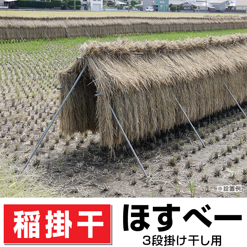 稲の掛干し ほすべー 3段掛け