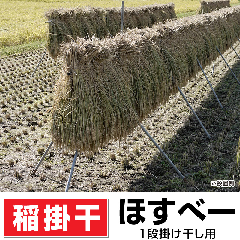 稲の掛干し ほすべー 1段掛け
