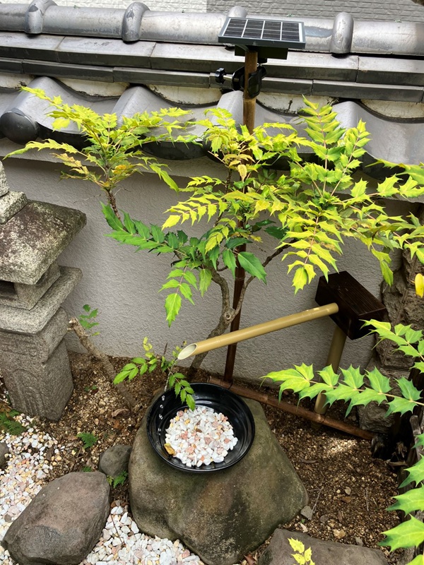 人工竹筧(小)